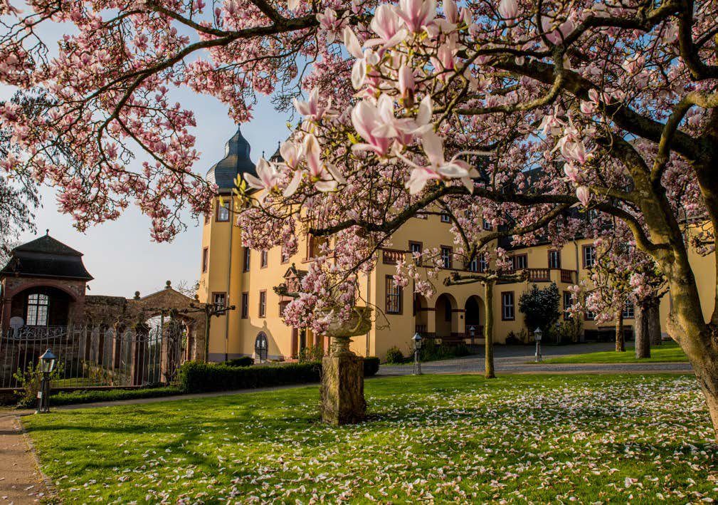 Schloss Vollrads