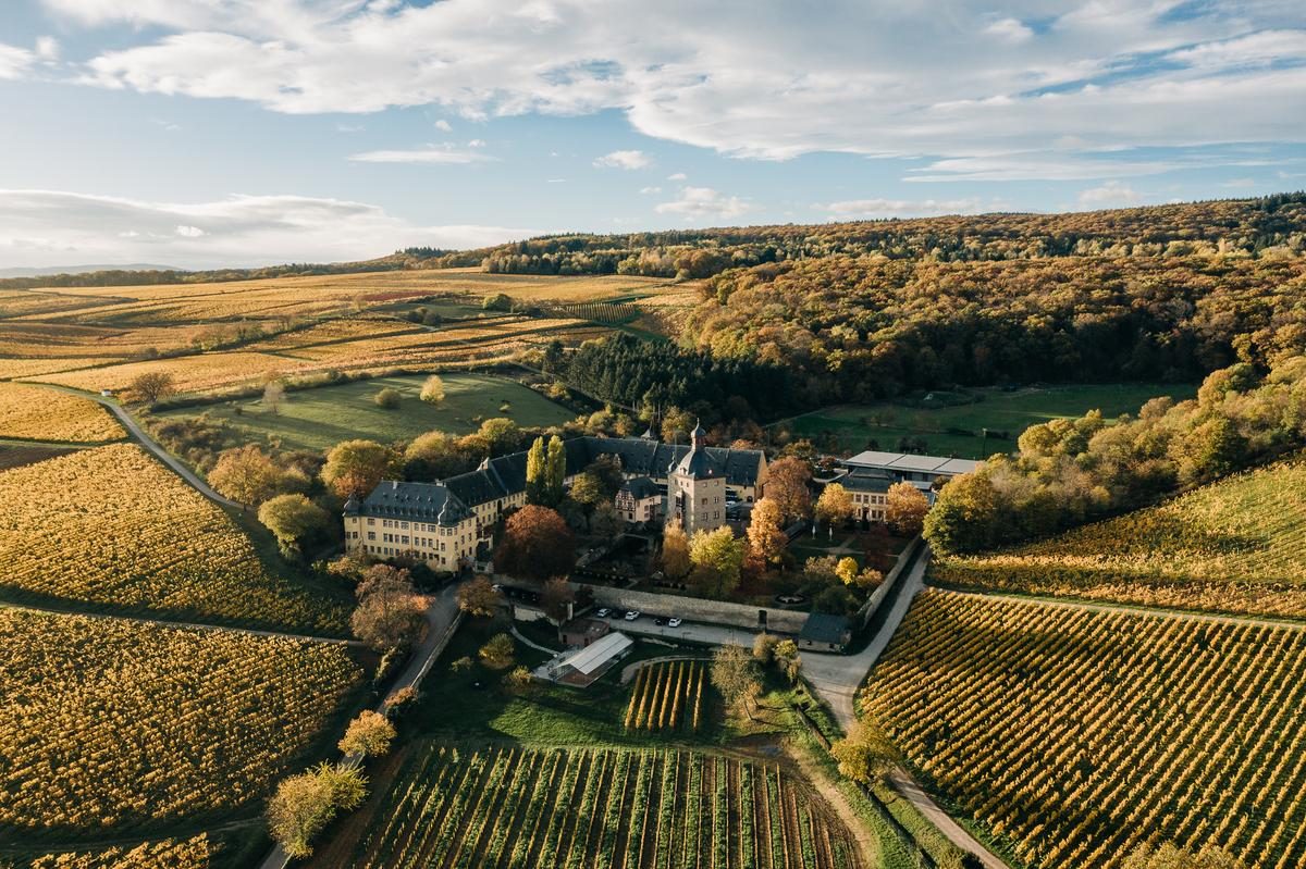 Schloss Vollrads Luftaufnahme